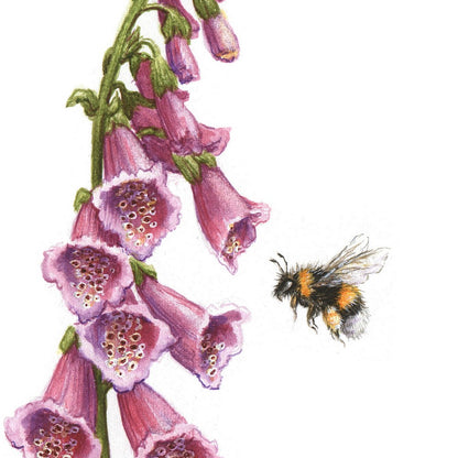 Original Painting - Bumble Bee & Foxglove Flowers