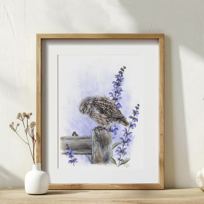 Owl Framed Art by NZ Wildlife Artist - Purple Wall Decor