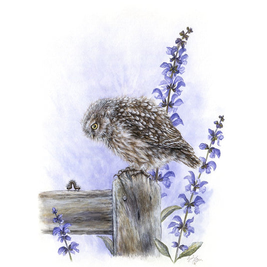 Little Owl & Caterpillar Art - New Zealand Bird Prints for Children's Room