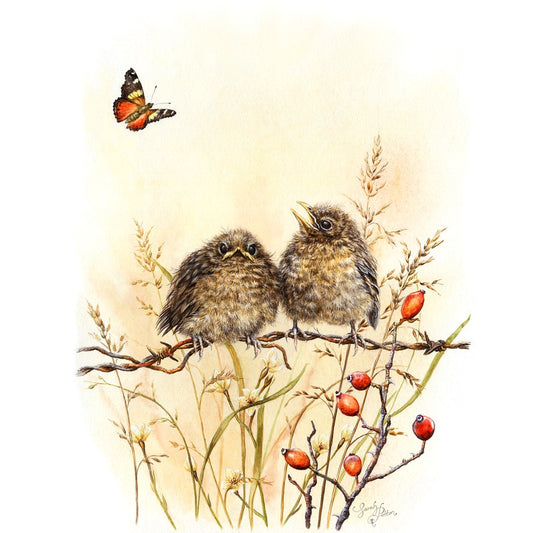 Print of Baby Blackbirds, Butterfly & Rosehips - Nursery Wall Art Prints