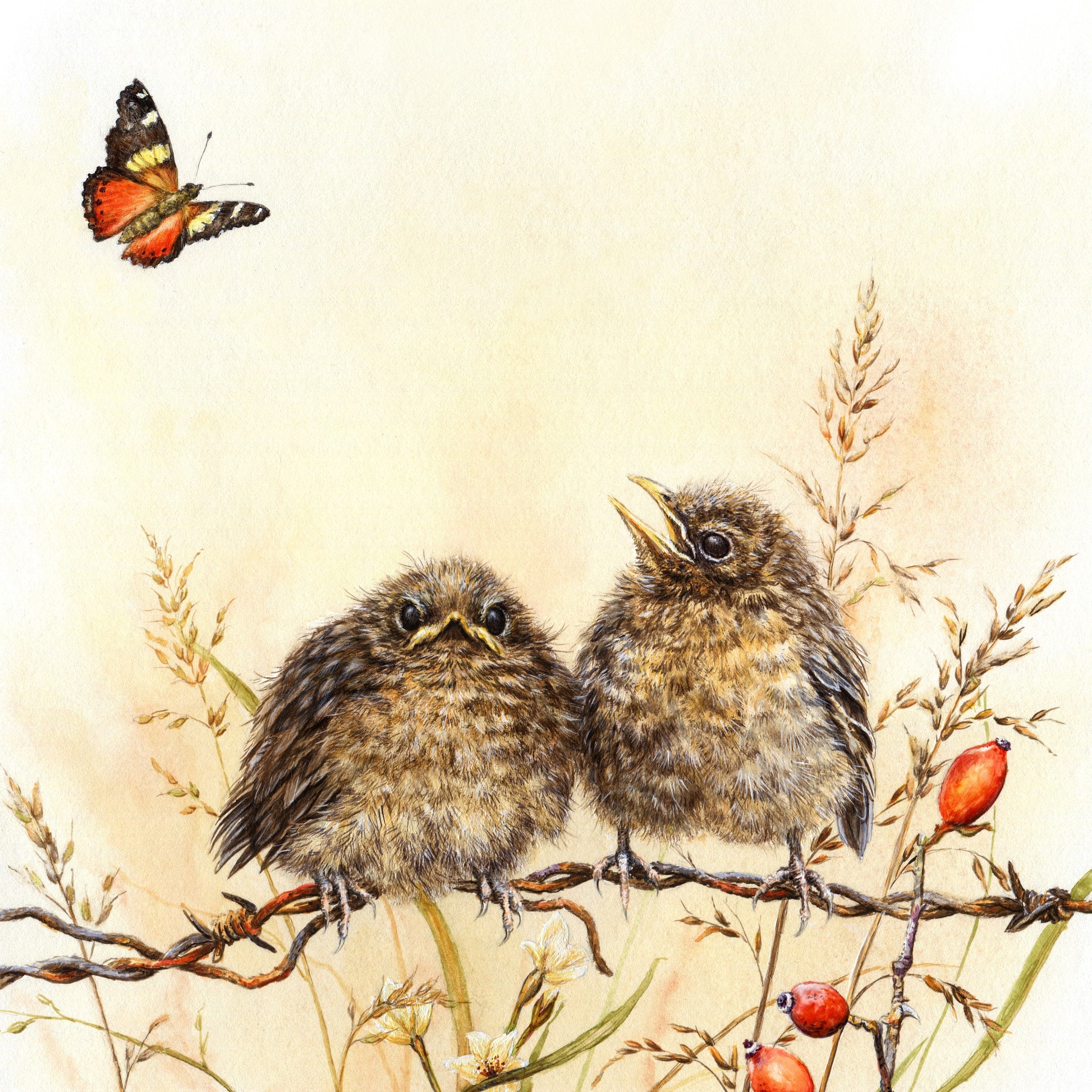 Print of Cute Fledgling Blackbirds