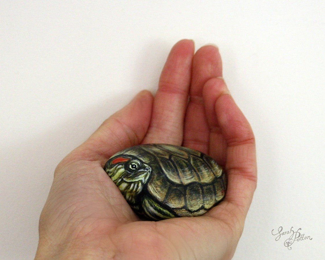 painted turtle stone by sarah potton