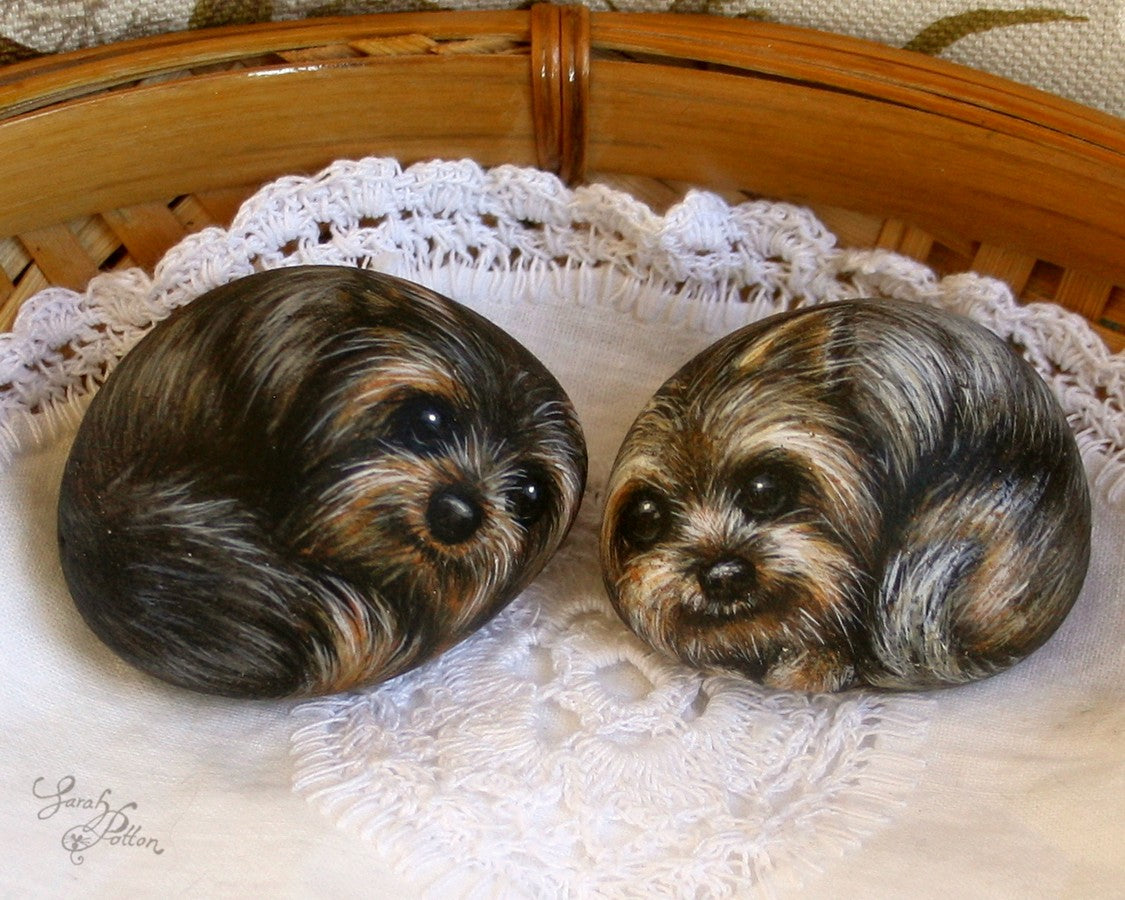 yorkshire terrier painted stones