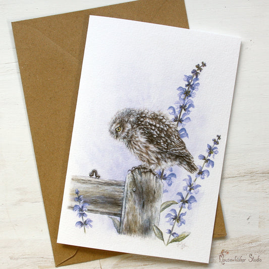 Card / Mini Print - NZ Little Owl