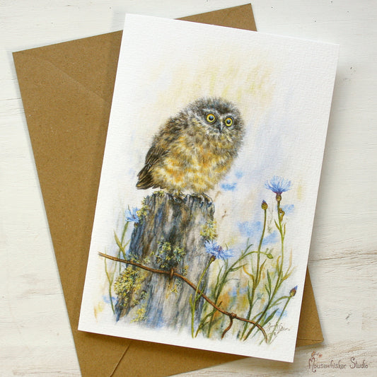 Card / Mini Print - Baby NZ Morepork Owl