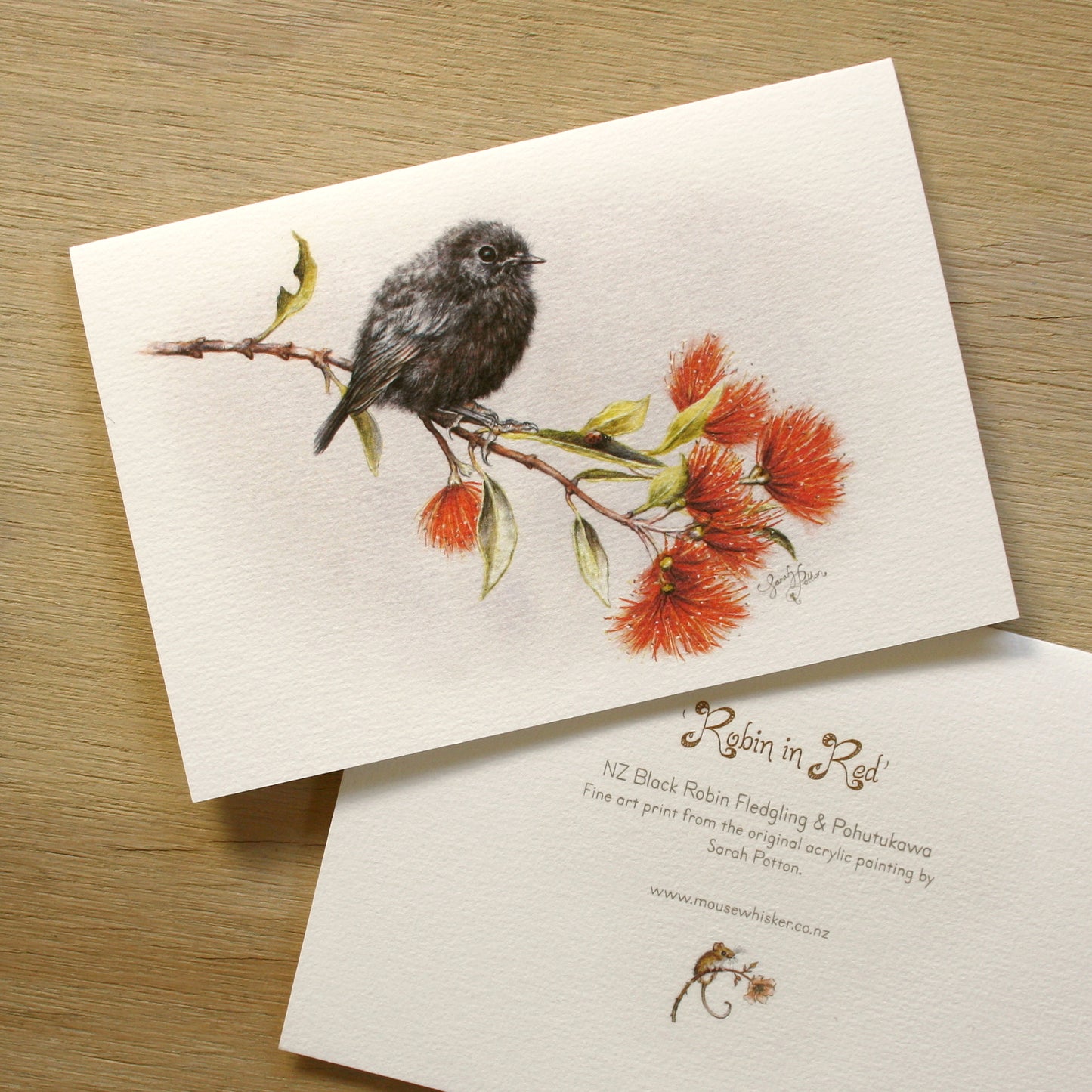 Card / Mini Print - NZ Black Robin & Pohutukawa