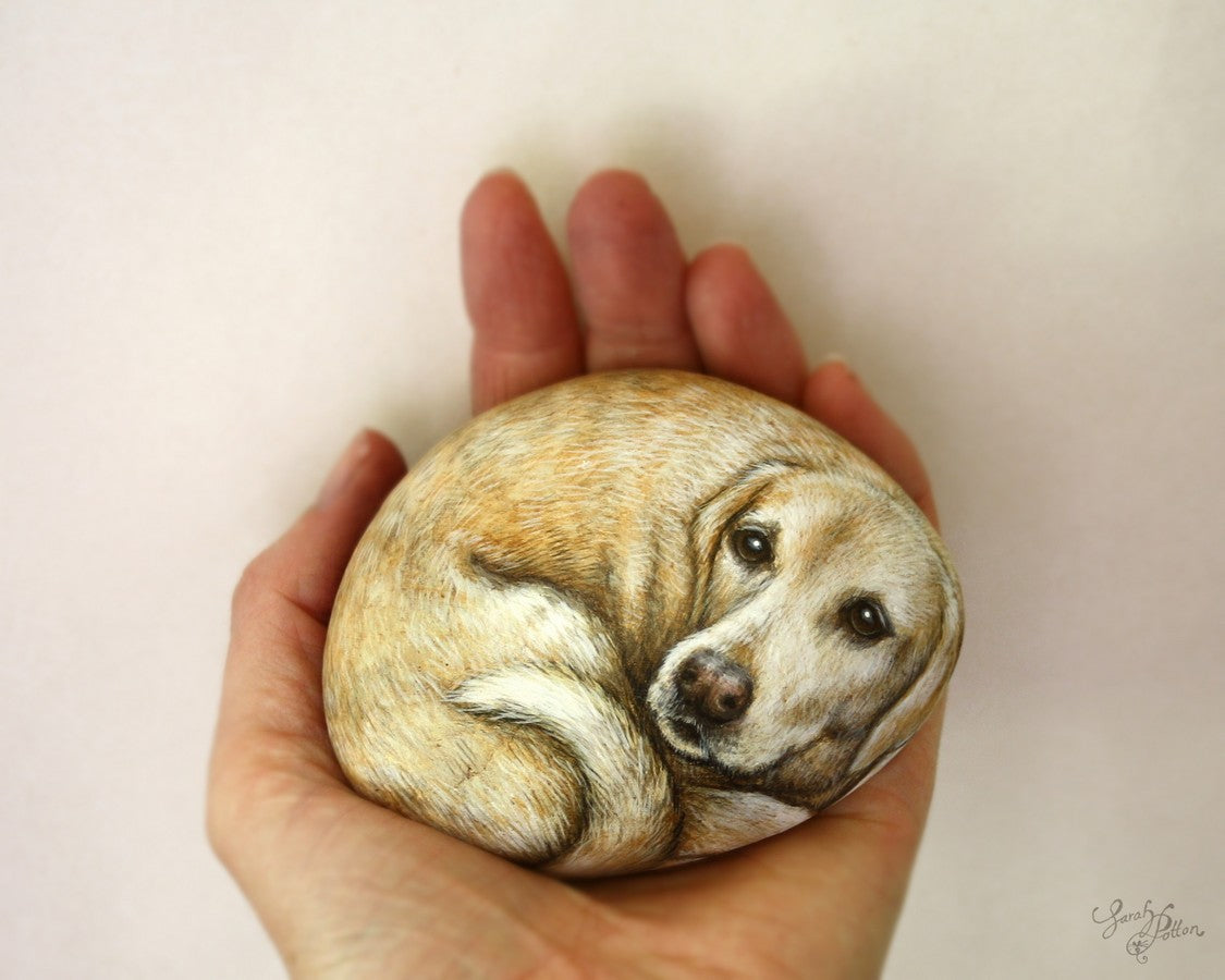 Golden Labrador dog painted rock - animal art