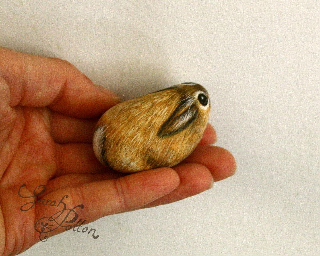 ginger rabbit painted rock