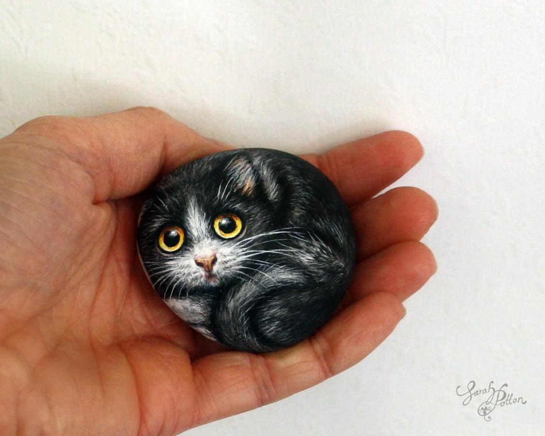 painted rock black and white kitten