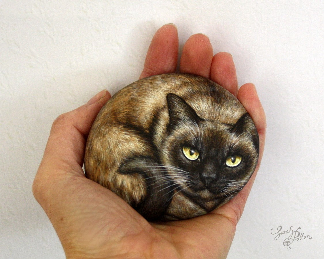 burmese cat rock painting - pet portrait art