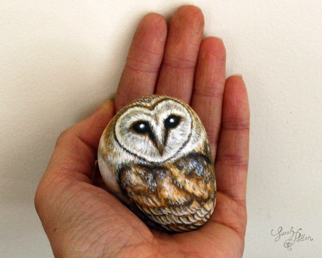 barn owl painting on a rock