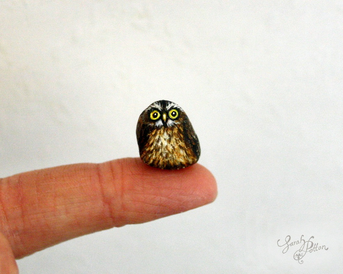 tiny morepork owl painted pebble - miniature rock art