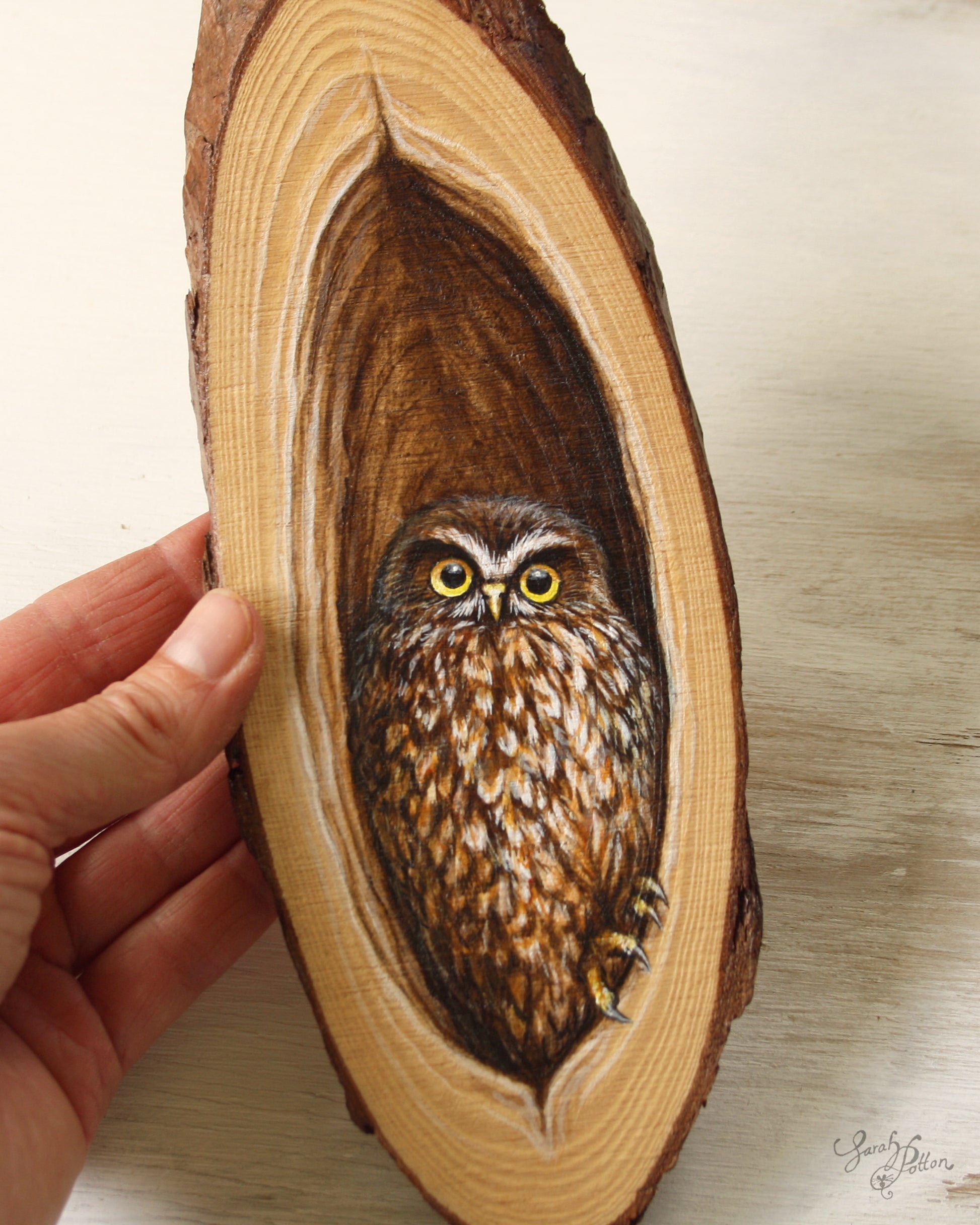 Morepork Original Painting- Unique NZ Gift