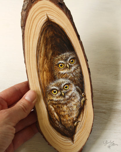New Zealand Owl Art on Wood Slice - Unique Gift Idea