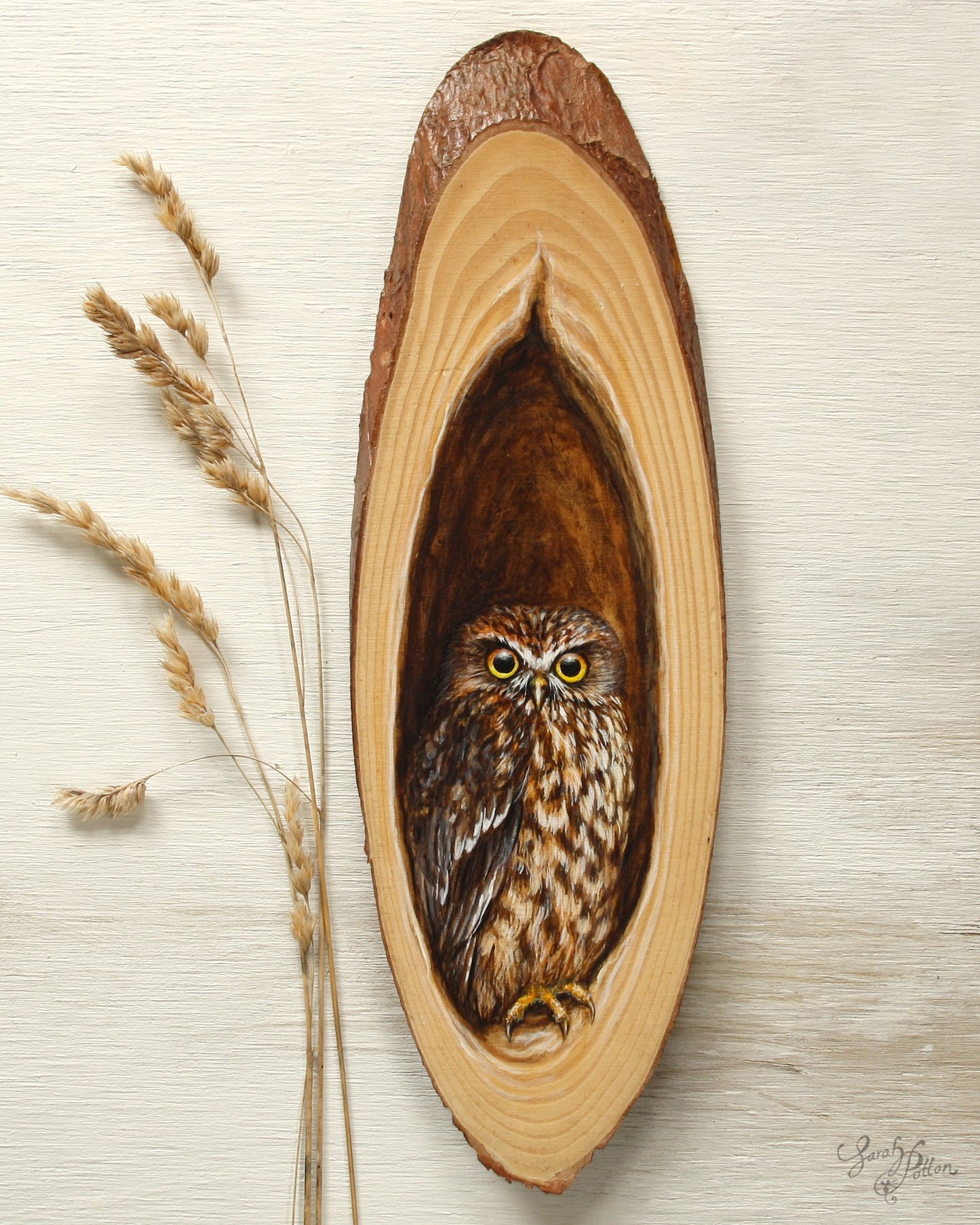 NZ Morepork Painting on Wood