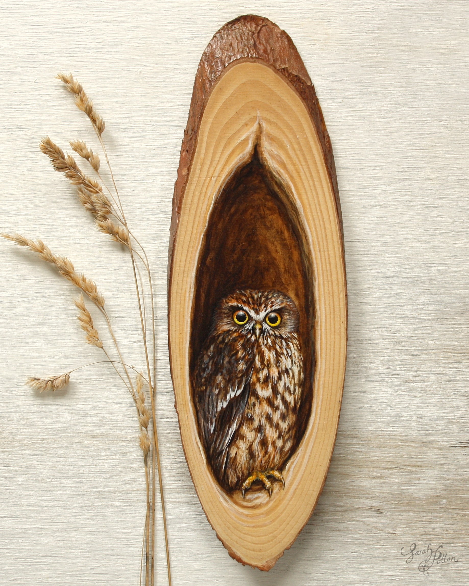 NZ Morepork Painting on Wood