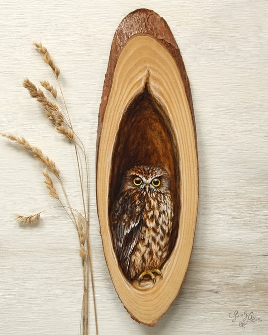 NZ Morepork Painting on Wood