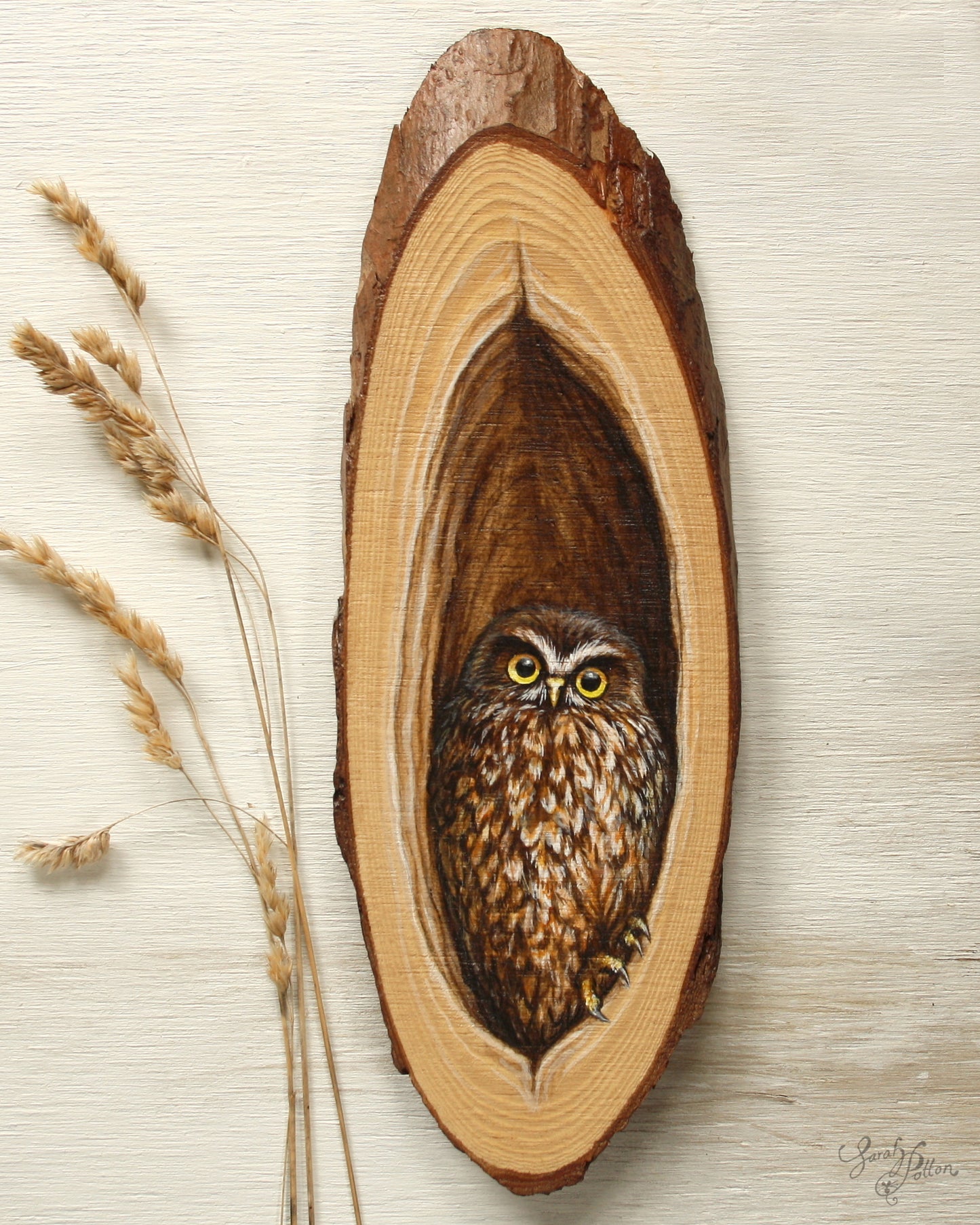 Morepork Owl Painting on Wood - NZ Native Bird Art