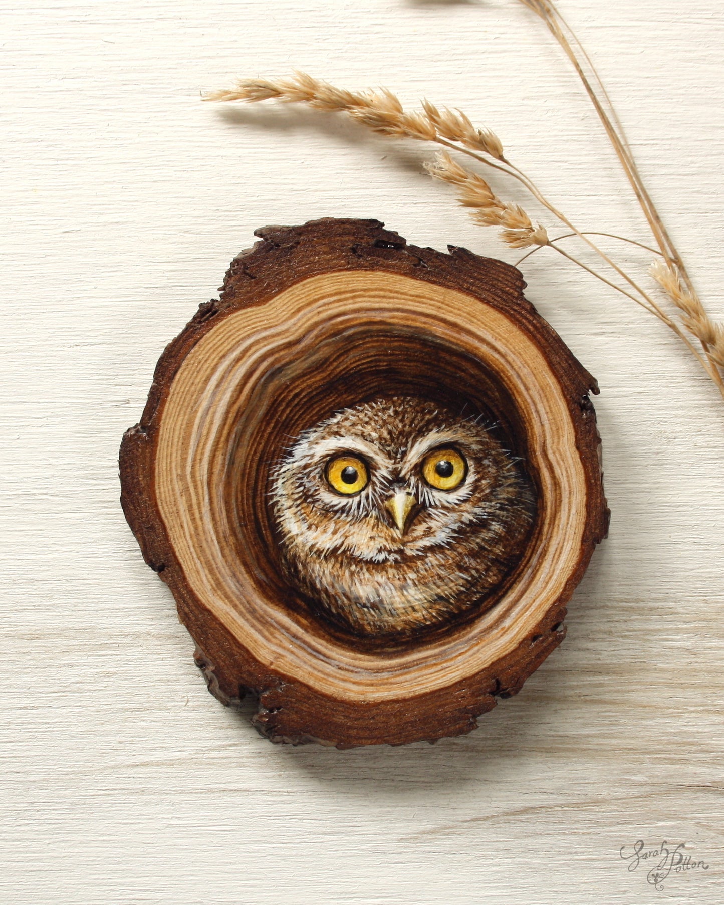Little Owl Artwork on Wood