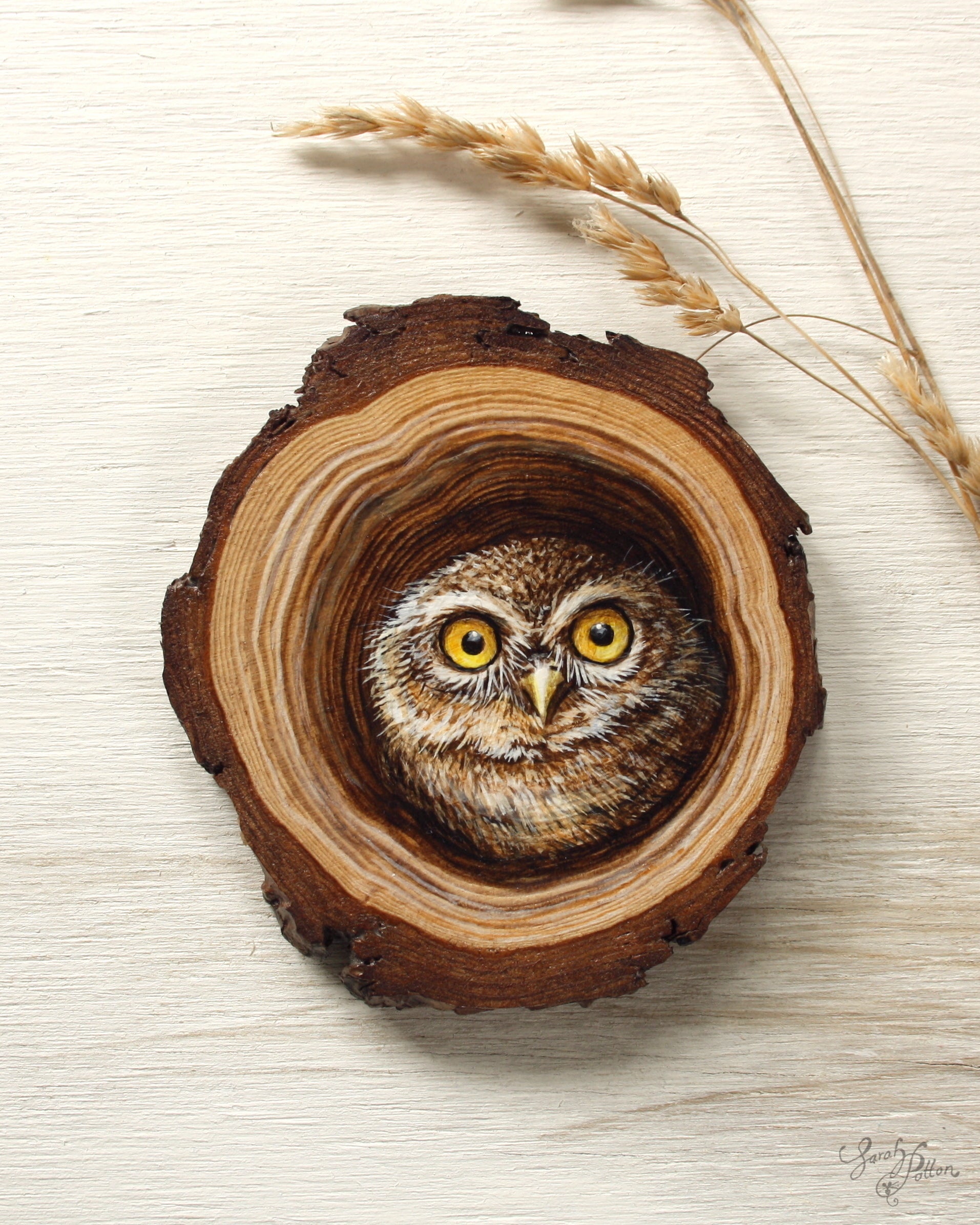 Little Owl Artwork on Wood