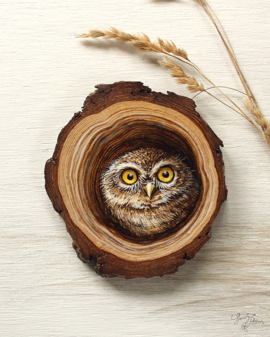 Little Owl Artwork on Wood
