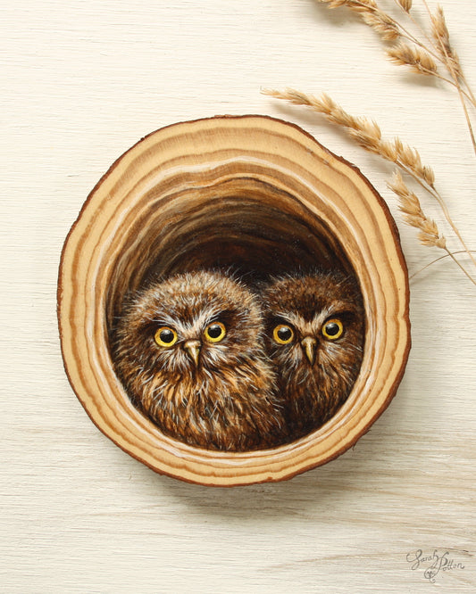 Baby Morepork Owl Art - NZ Wood Painting