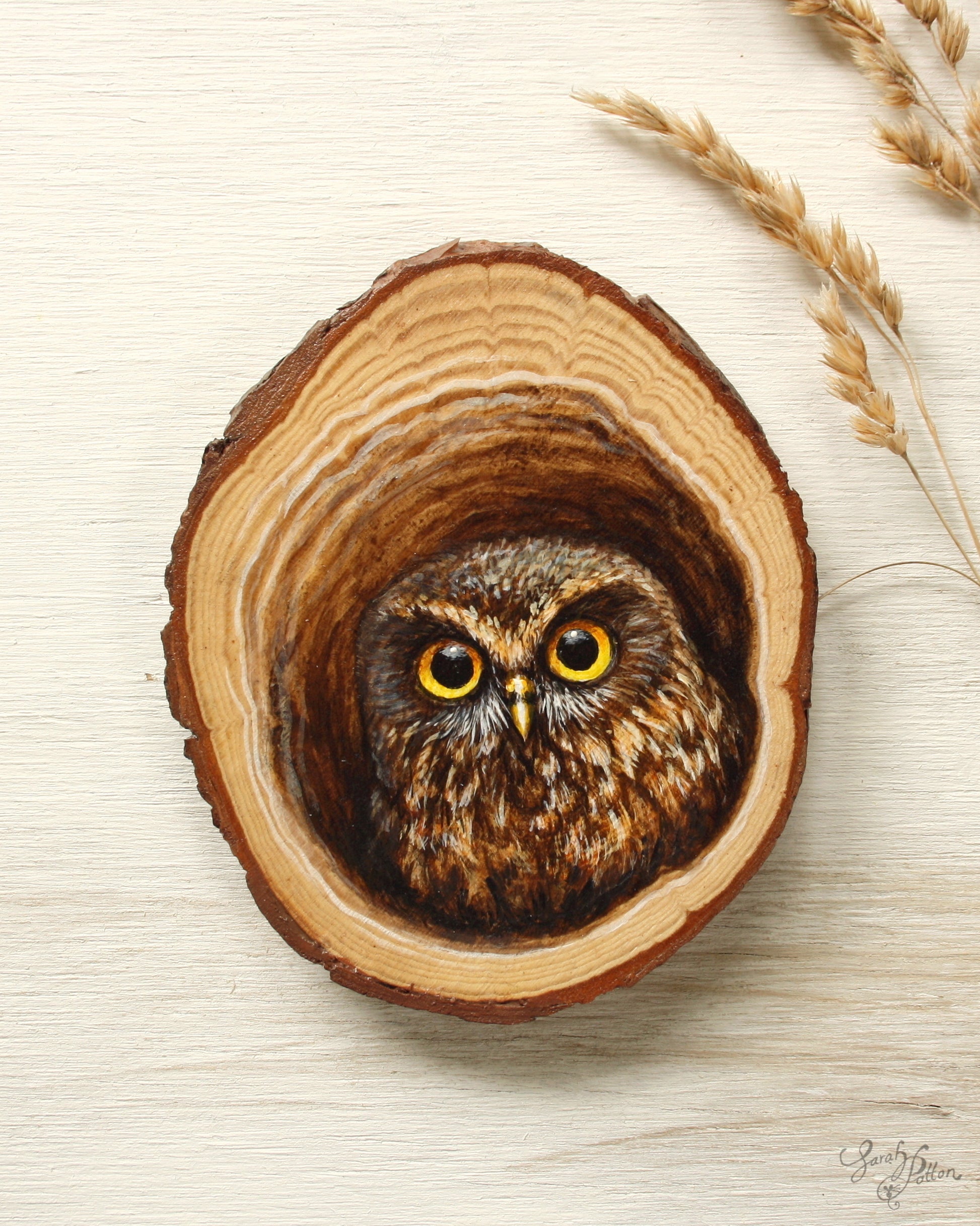 Cute Owl inside hollow tree - 3d illusion art