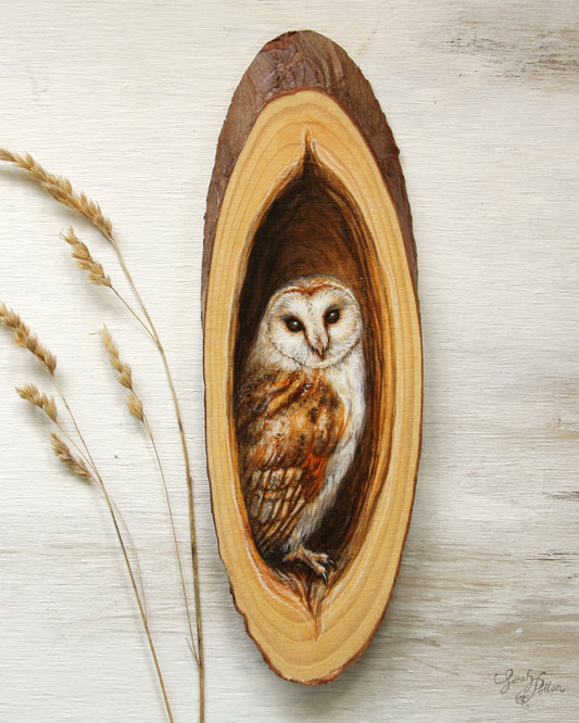 Barn Owl Painting - Bird Wall Art