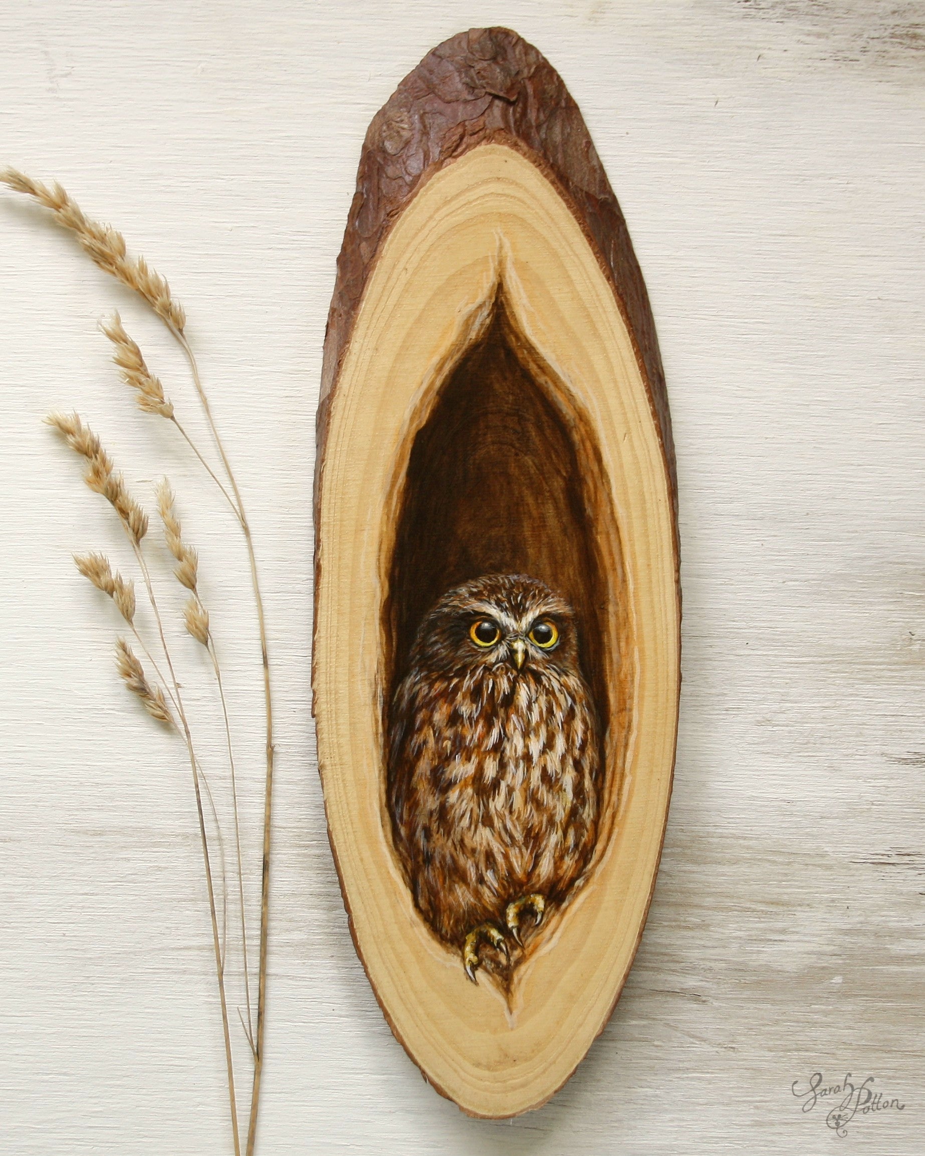 Ruru Owl Original Art on Wood - Unique Bird Gift
