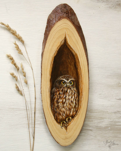 Ruru Owl Original Art on Wood - Unique Bird Gift