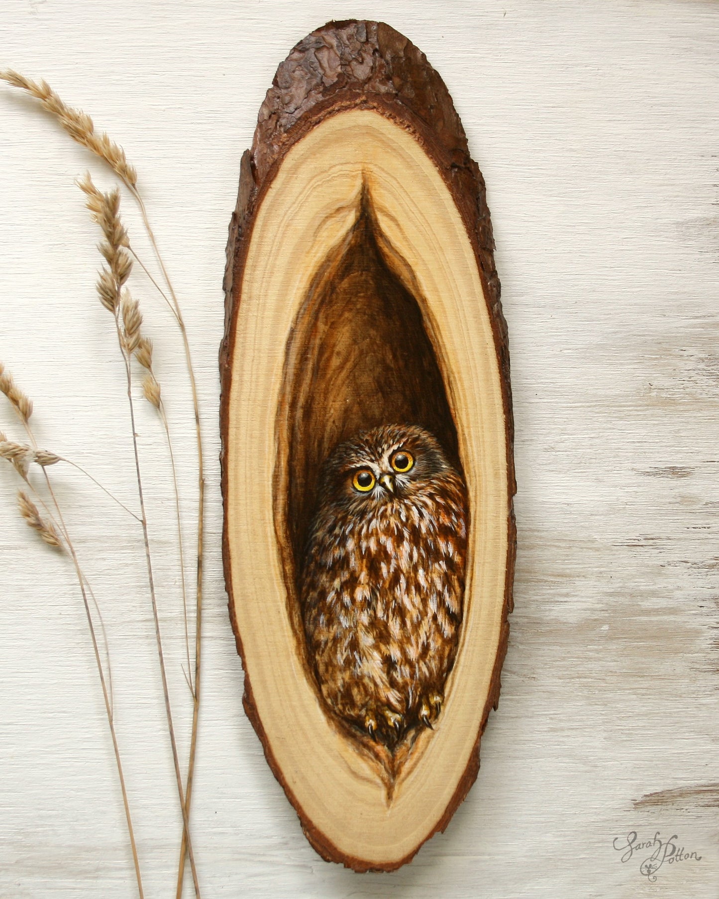 Morepork Owl Wood Art - Original Painting - NZ Native Bird