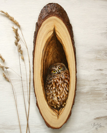 Morepork Owl Wood Art - Original Painting - NZ Native Bird