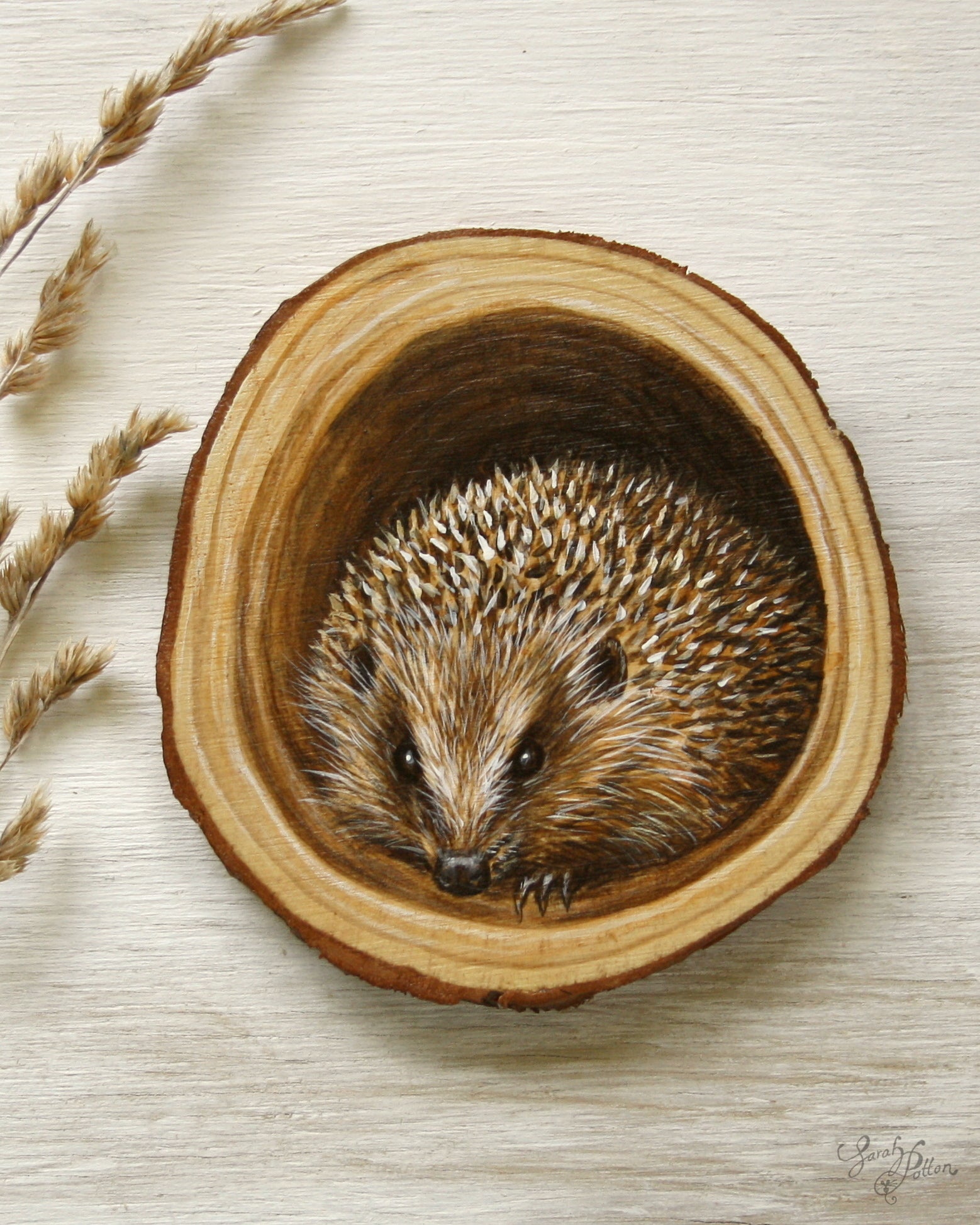 Hedgehog Painting on Wood