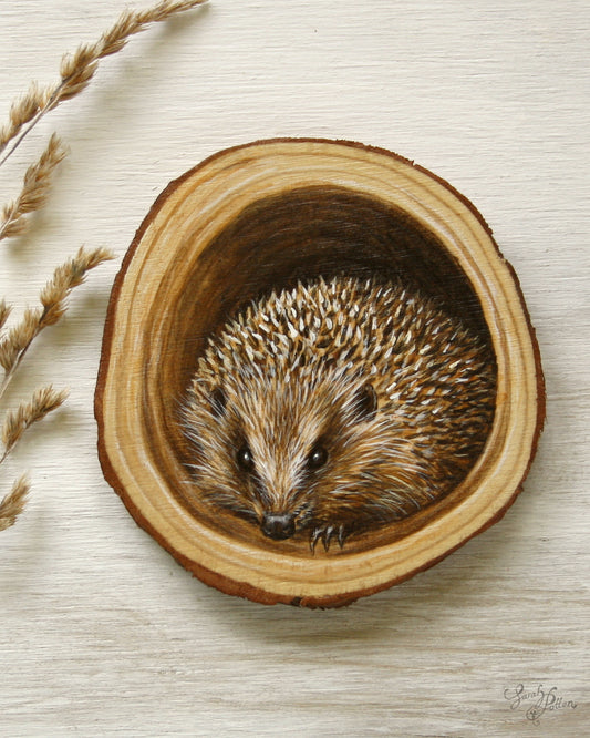 Hedgehog Painting on Wood