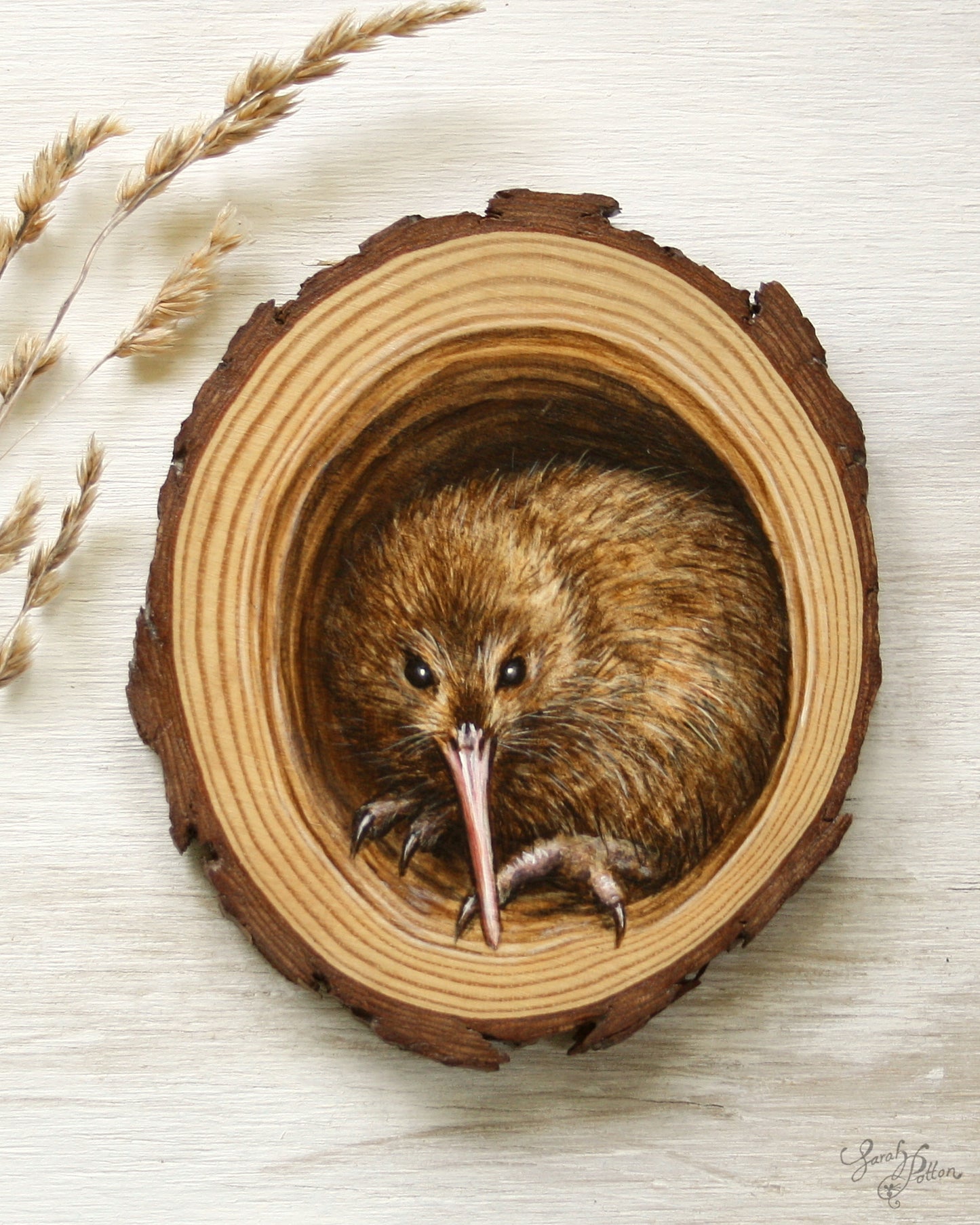 Kiwi Painting on Wood - Original NZ Wall Art