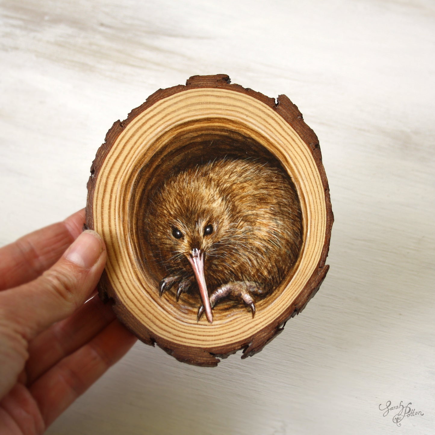 NZ Kiwi Bird Painting - Wood Art - Unique Kiwiana Gift