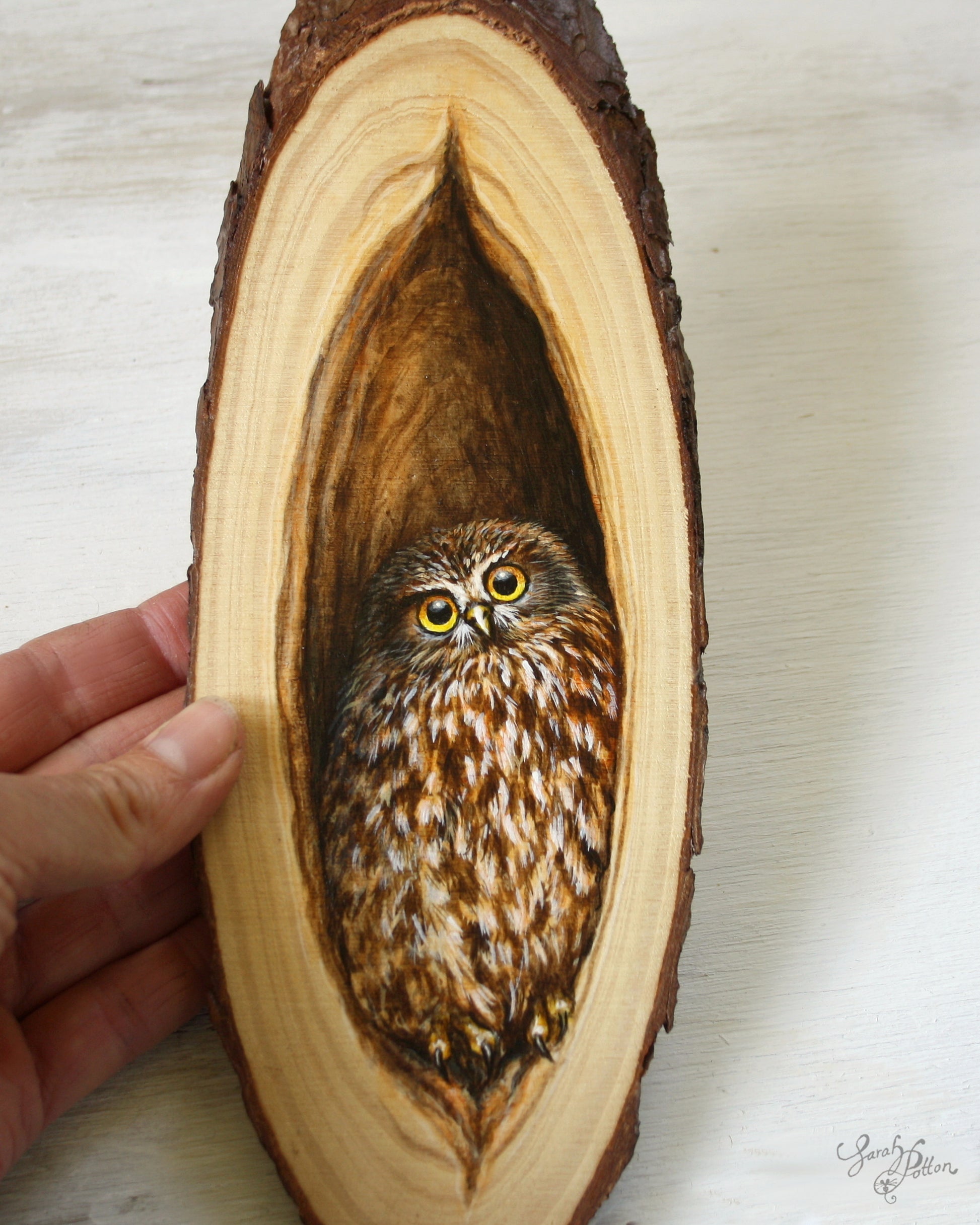 Ruru Owl Painting - Original Artwork on Wood