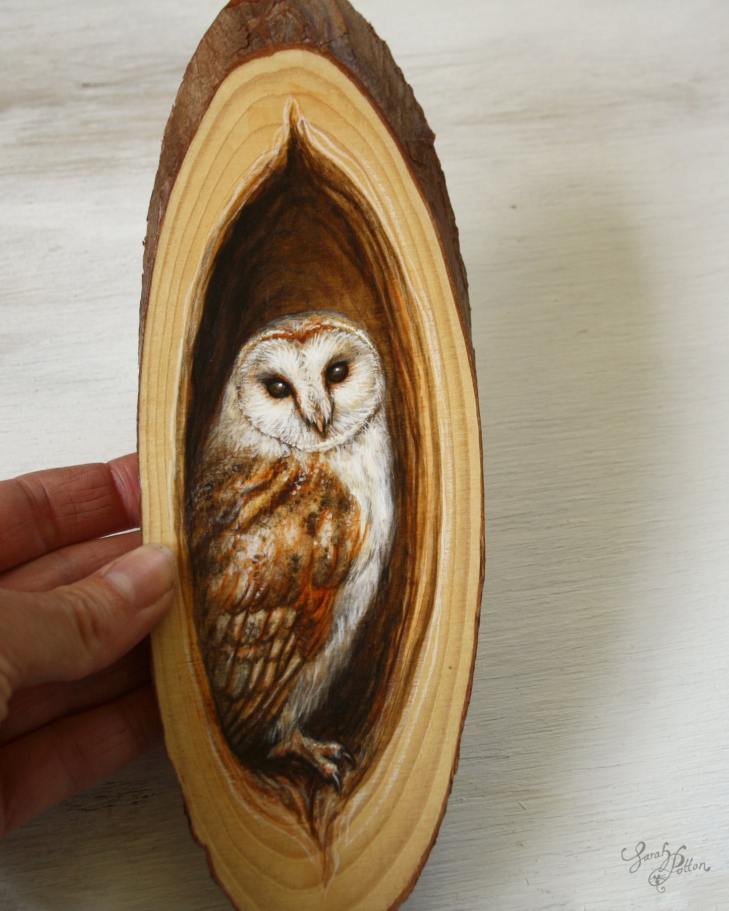 Barn Owl Painting on Wood - Original Art