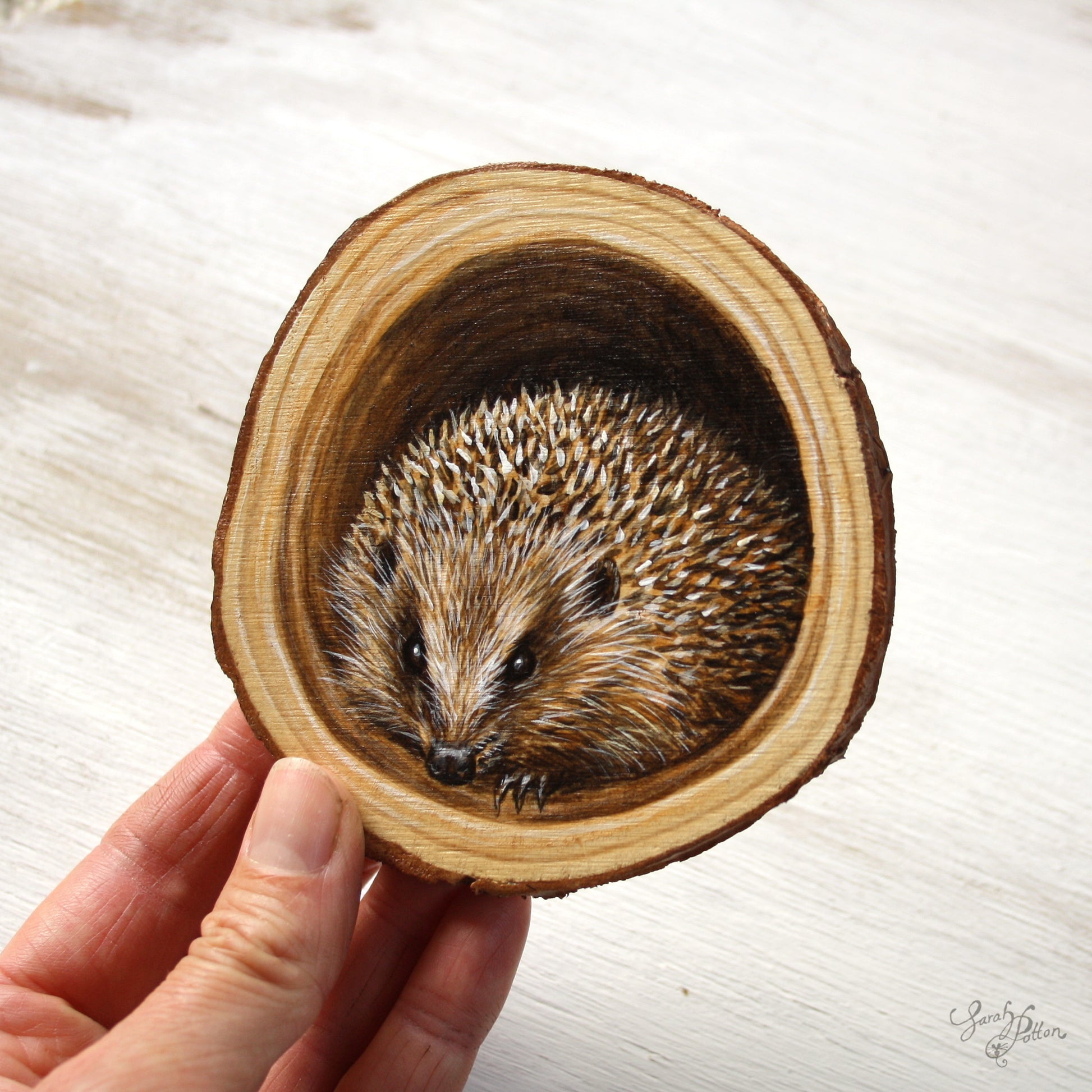 Hedgehog Wall Art - Original Painting on Wood - Animal Lover Gift