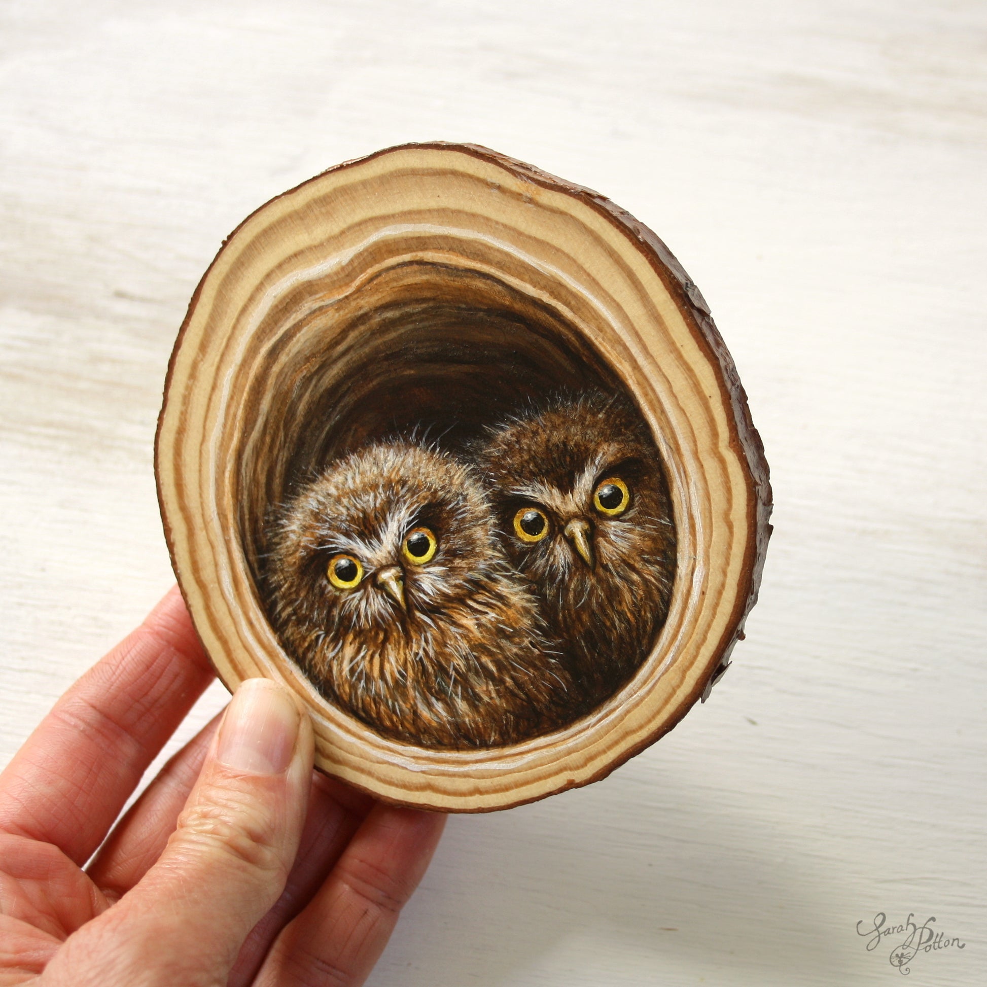 Baby Owl Wall Art - Illusion Painting on Wood