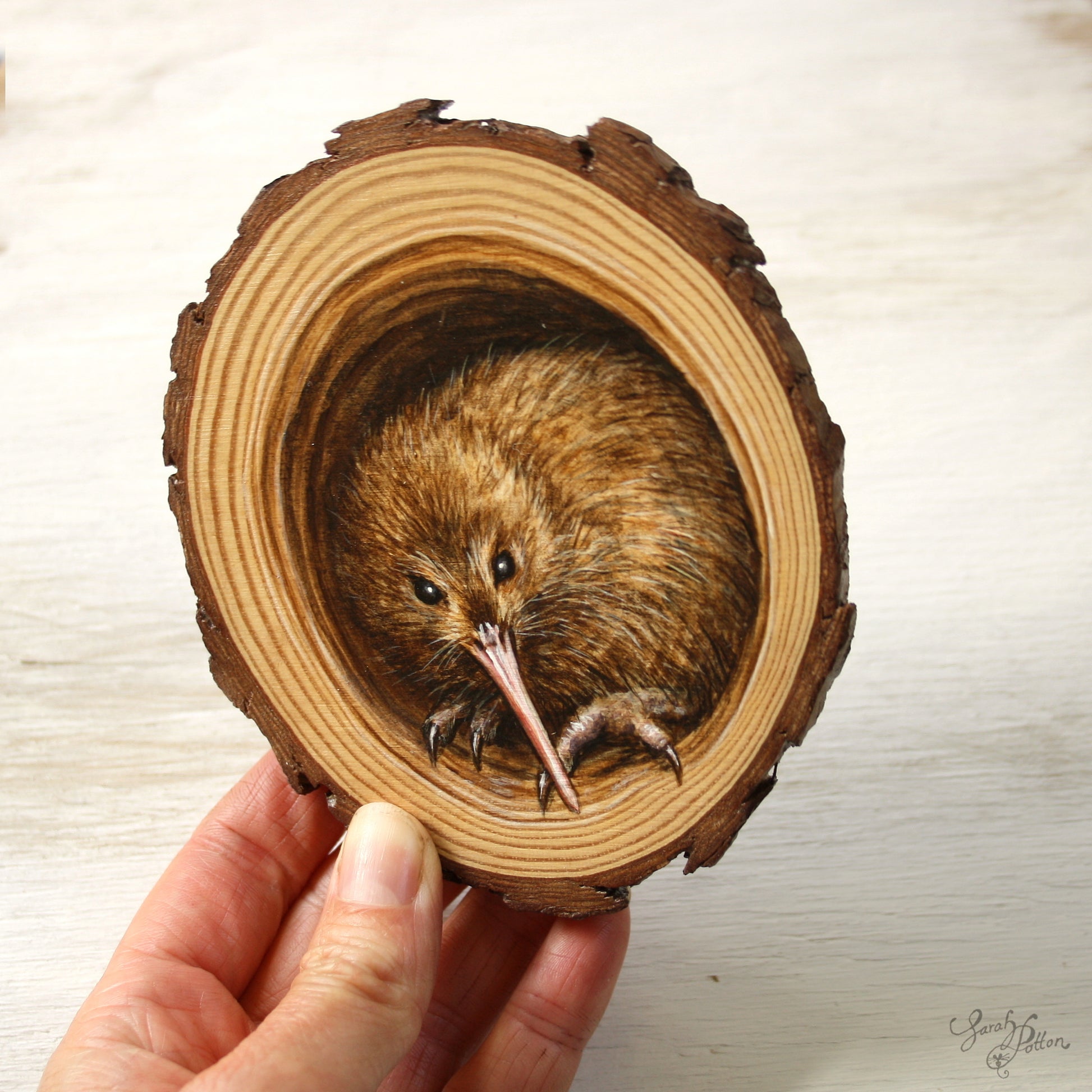 Kiwi Painting - Native Bird Art on Wood - Native Fauna of New Zealand