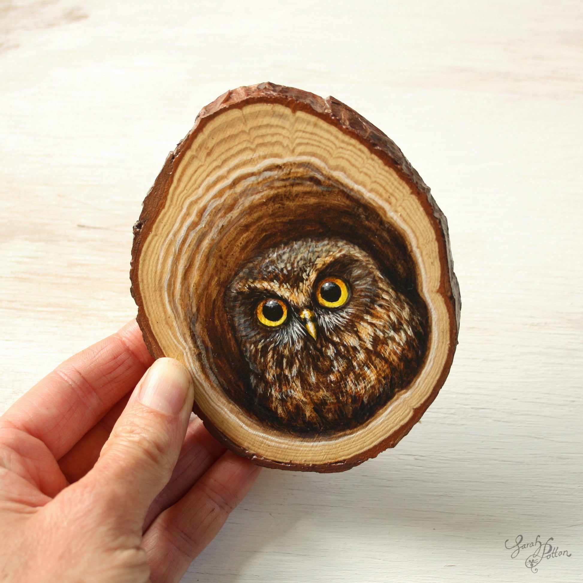 Morepork Art On Wood - Unique Decor for Bird Lovers