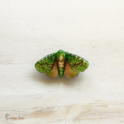 Puriri Moth Brooch