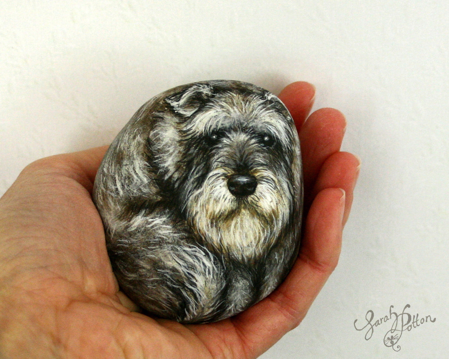 Pet Portrait Painted Rock