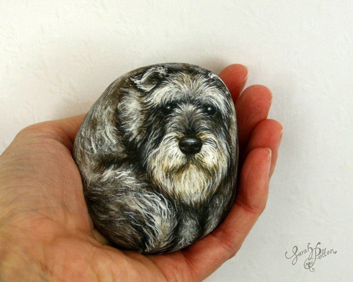 miniature schnauzer painted rock by sarah potton