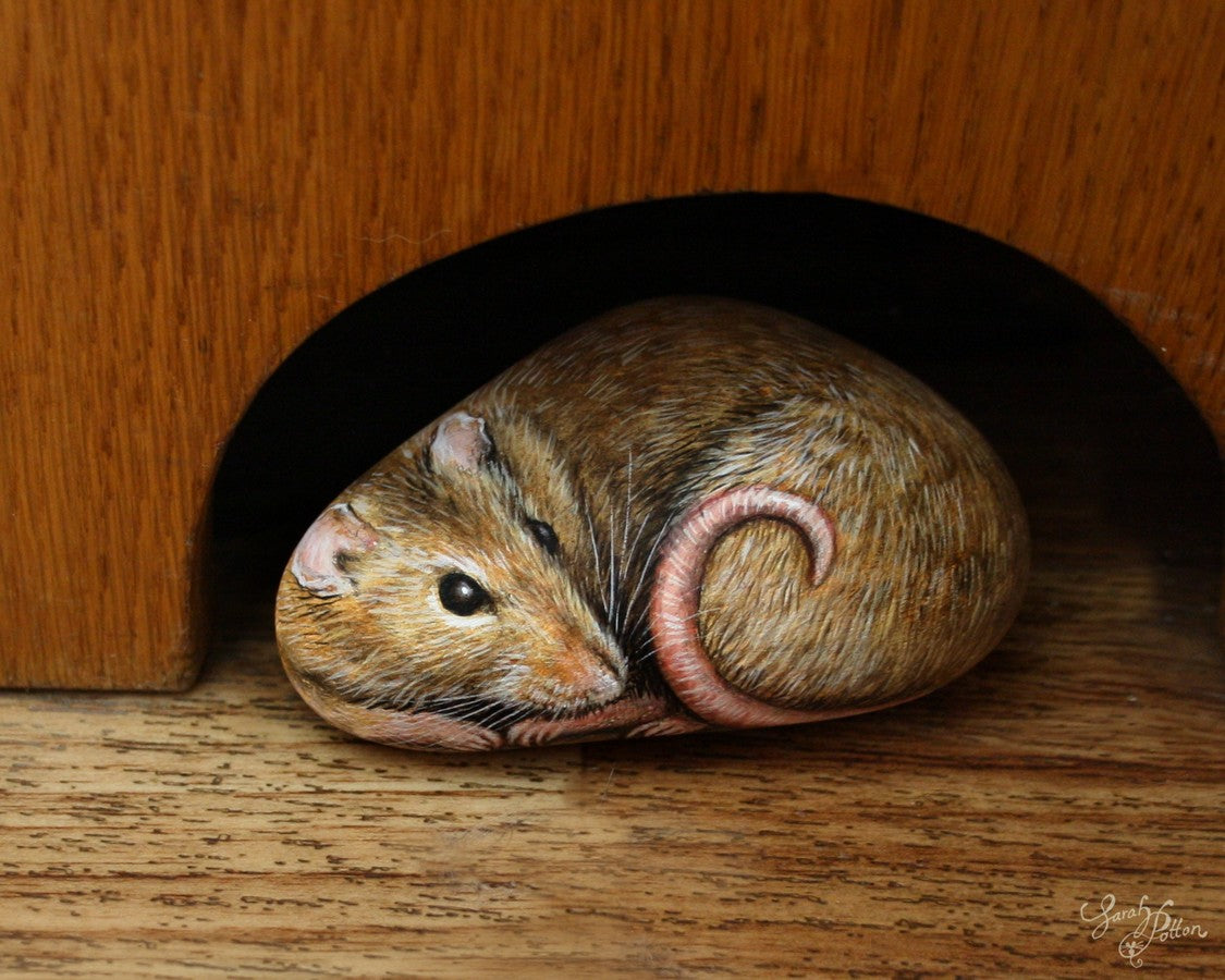 rat rock painting