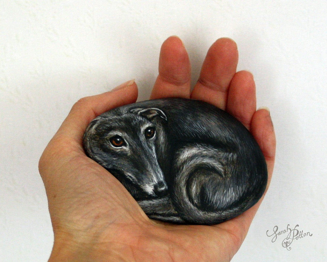 black greyhound dog painted rock