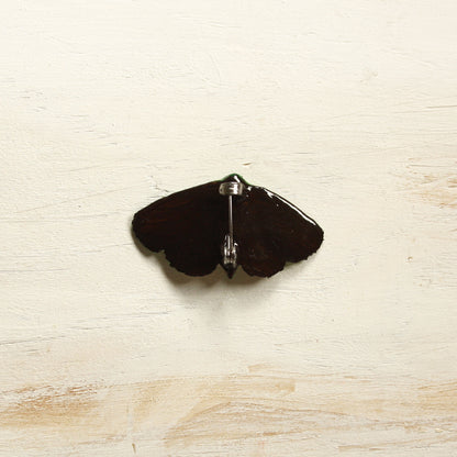 Puriri Moth Brooch