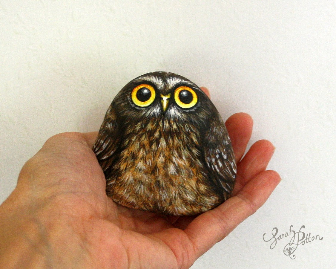 nz birds art rock painting of morepork owl