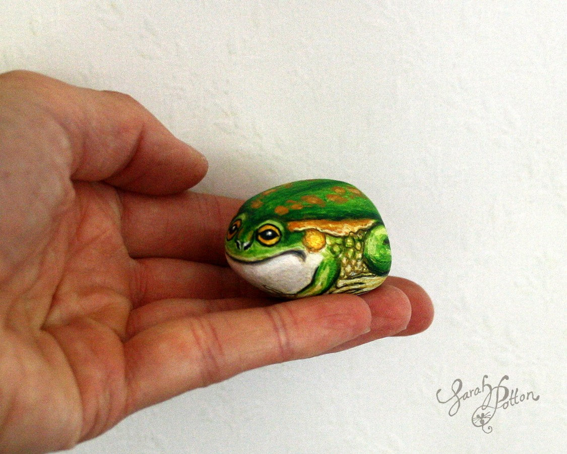 tiny frog painted rock by nz artist